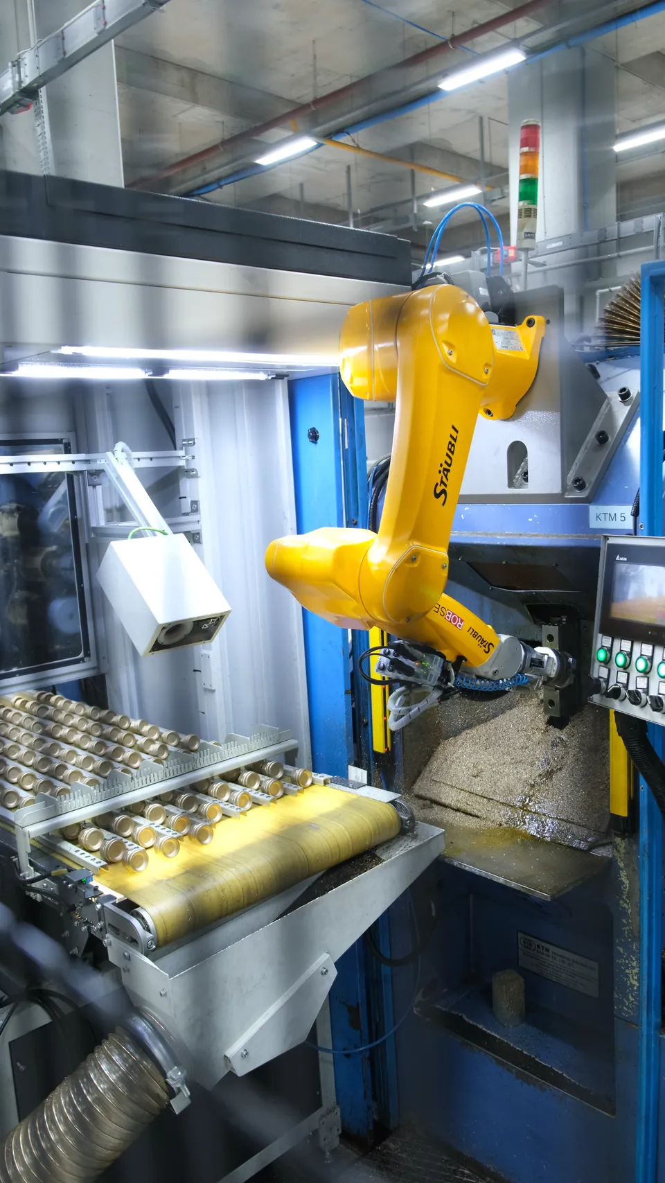 Robot and conveyor from above